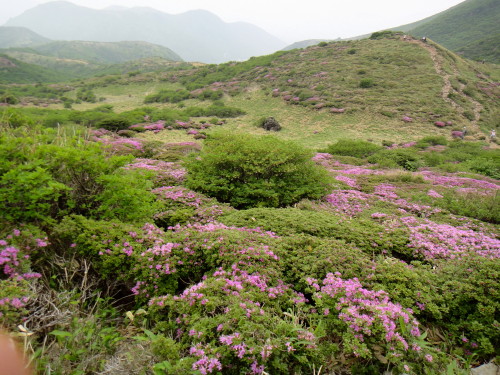 c0179351_14065.jpg