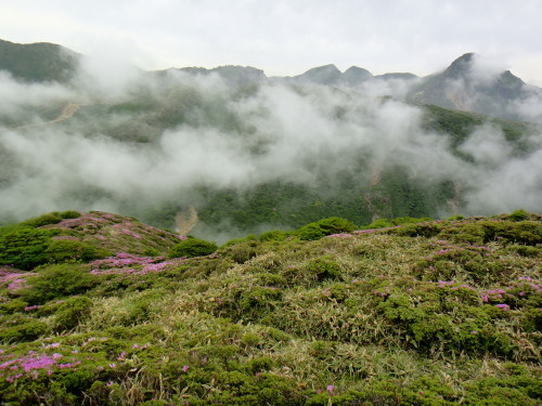 c0179351_1412412.jpg