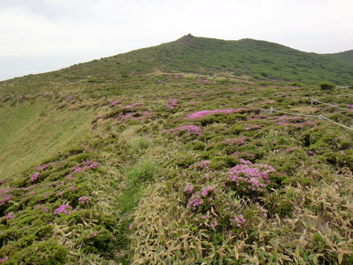 c0179351_142048.jpg