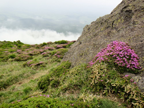 c0179351_1423344.jpg