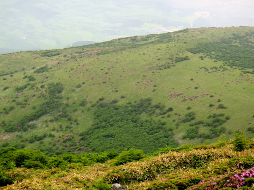 c0179351_143512.jpg