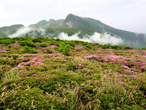 c0179351_1451778.jpg