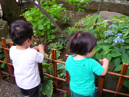 a0075661_23171994.jpg