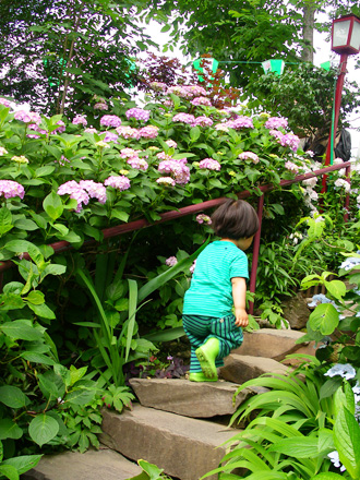 a0075661_2325337.jpg