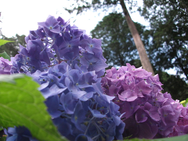 a0091666_21381415.jpg