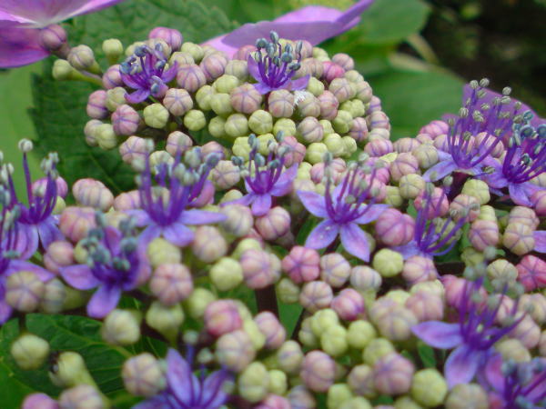 e0153367_11112560.jpg