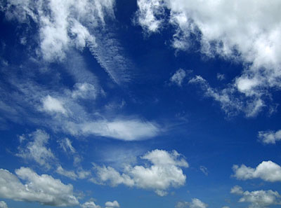 b0033573_17242653.jpg