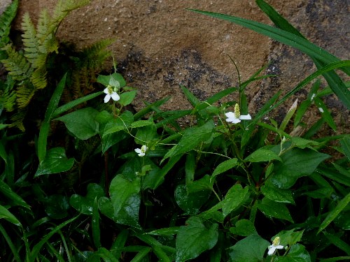 d0084473_20534861.jpg