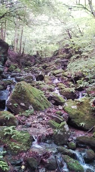 e0004173_18112615.jpg
