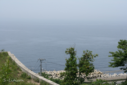 b0139477_2373786.jpg