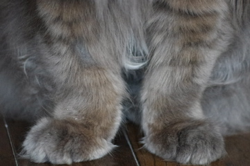 f0054677_74452.jpg