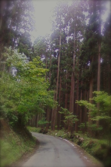 c0032580_20253372.jpg