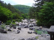 a0142083_22152774.jpg