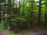 a0142083_2273855.jpg