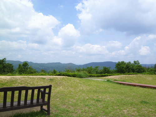 d0179983_18133353.jpg