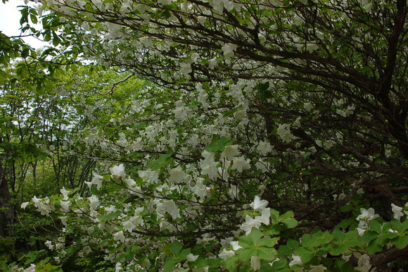 b0203588_19193737.jpg