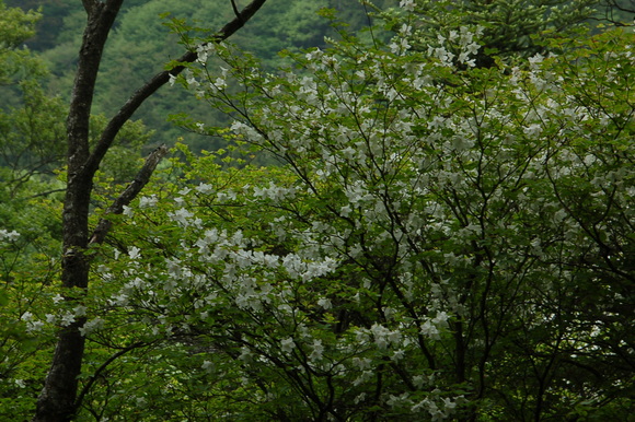 b0203588_1921292.jpg