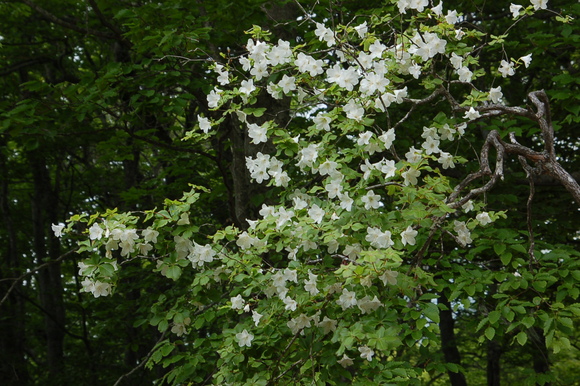 b0203588_19215249.jpg