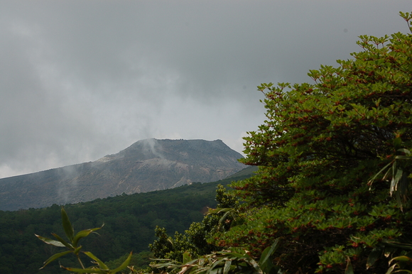 b0203588_19261325.jpg
