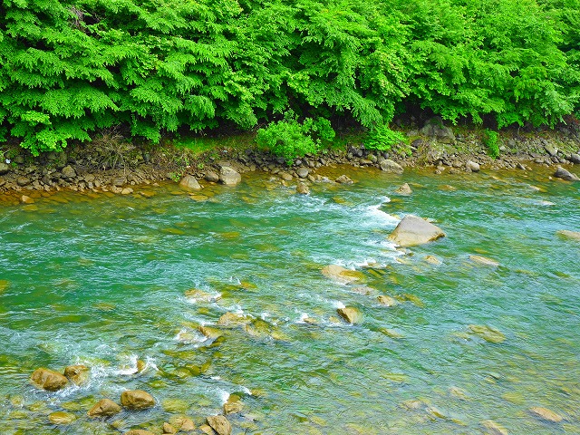 e0202393_2153744.jpg