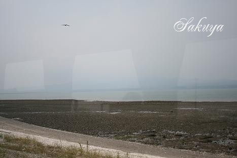 e0122194_15274767.jpg