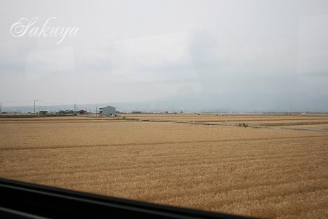 e0122194_15315566.jpg