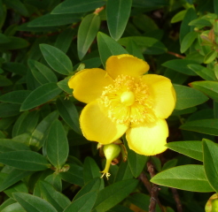 f0166694_19262862.jpg