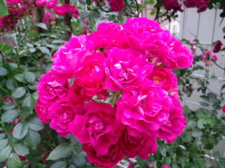 c0023399_7101420.jpg