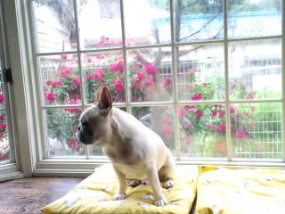 c0023399_7101465.jpg
