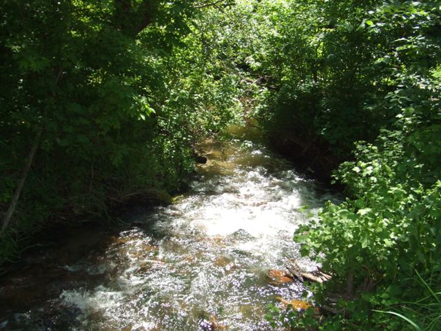 c0062603_13141459.jpg