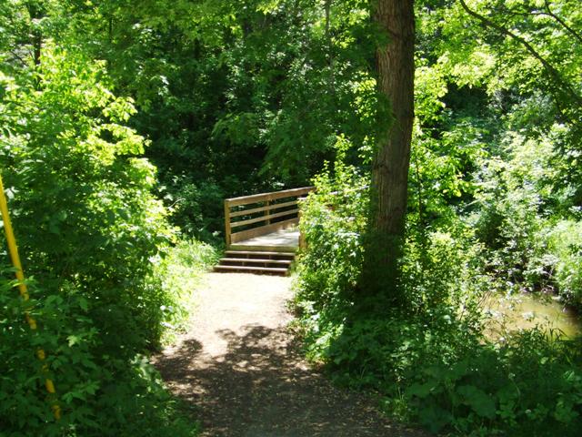 c0062603_1315594.jpg