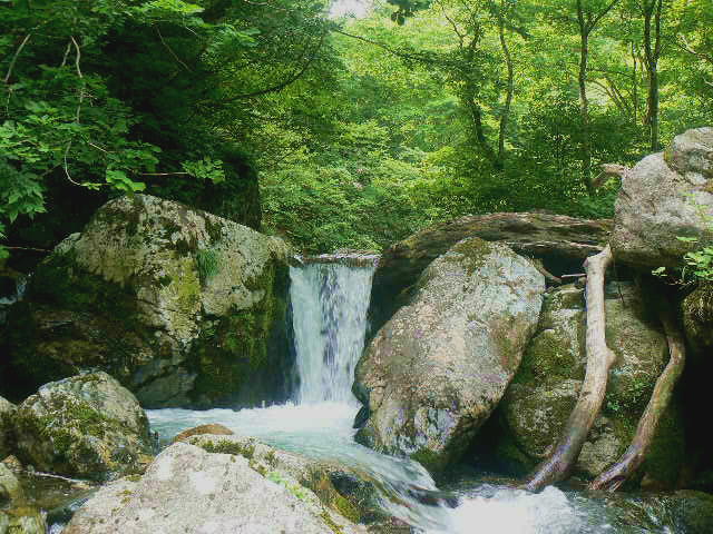 f0164503_17262339.jpg