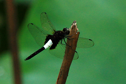 b0014607_19534049.jpg