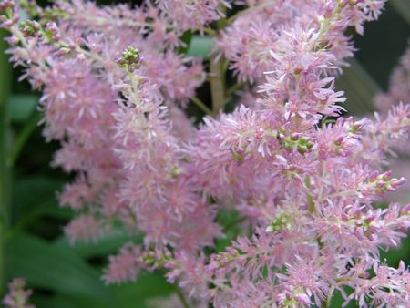 b0061107_7541761.jpg
