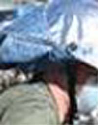 e0103408_23434491.jpg