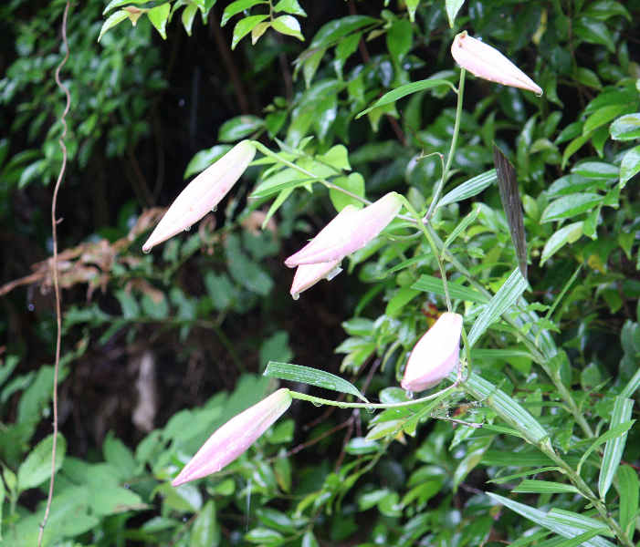 d0154609_13697.jpg
