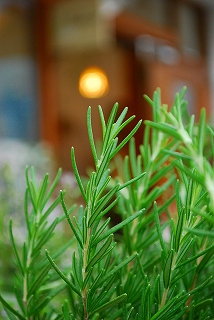 e0128909_20511323.jpg