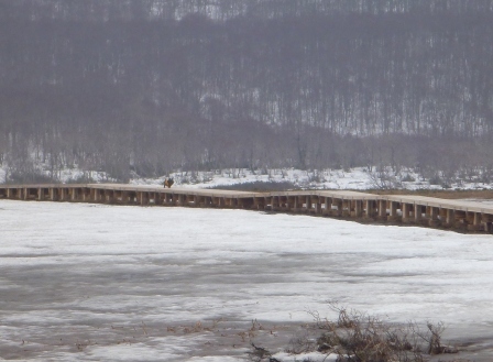 e0078510_23221072.jpg