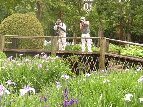 c0223117_1645142.jpg