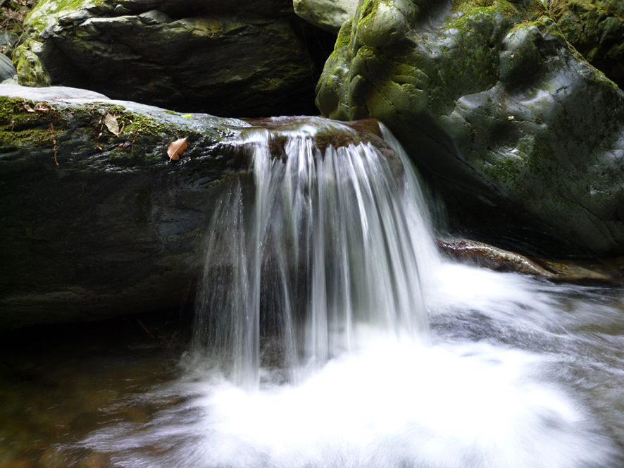 e0200926_7281981.jpg