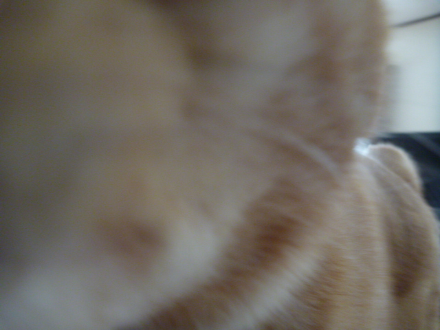 e0142430_16104223.jpg