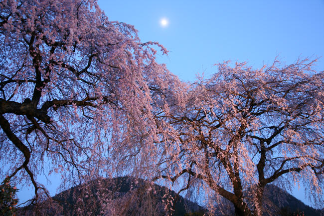 f0017530_20153776.jpg