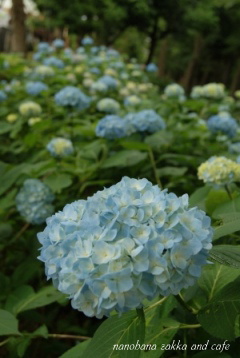 b0151533_22313369.jpg