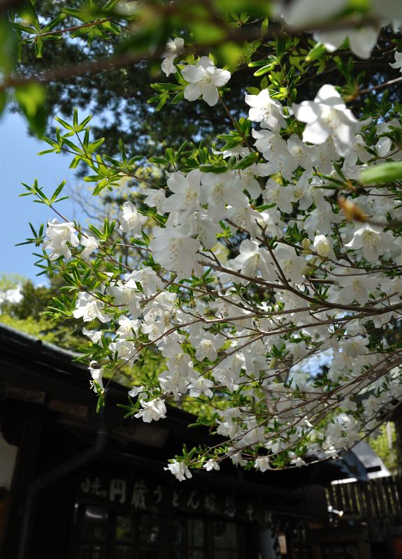 c0133533_1223230.jpg