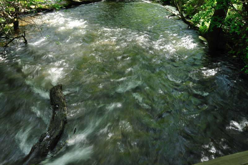 c0133533_163371.jpg