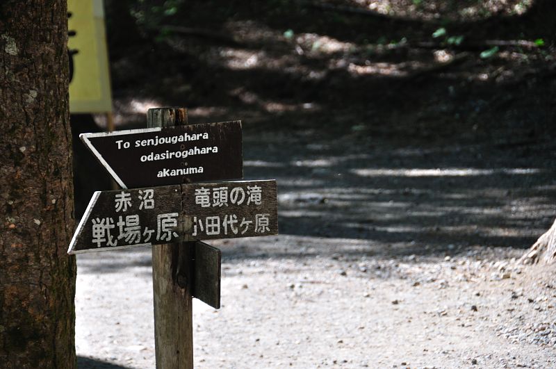 c0133533_173219.jpg