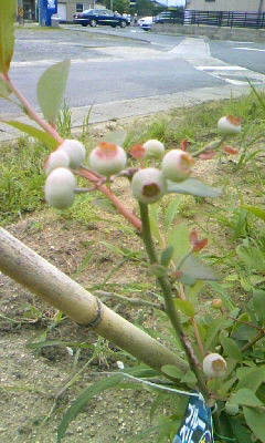 f0032434_2258069.jpg