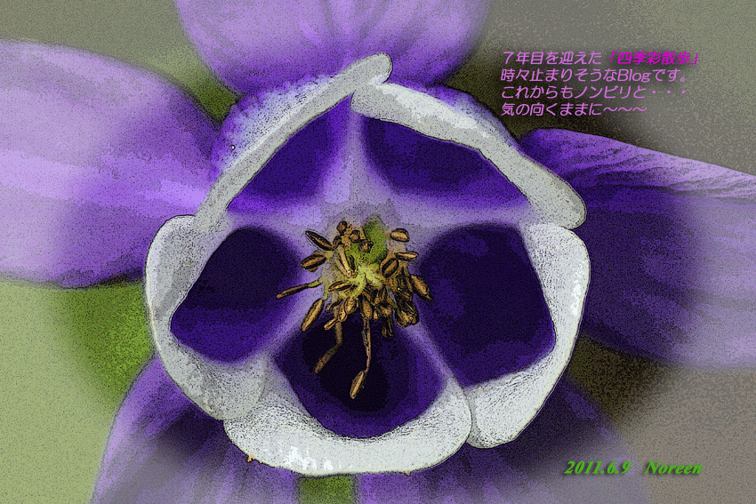 d0069235_224281.gif