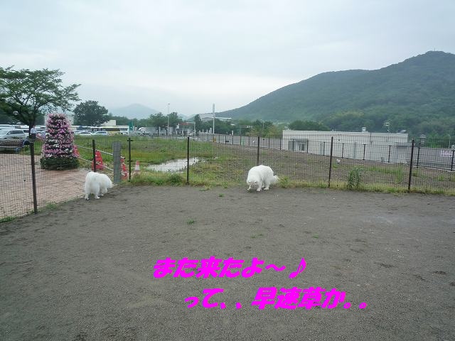 e0196135_21574790.jpg
