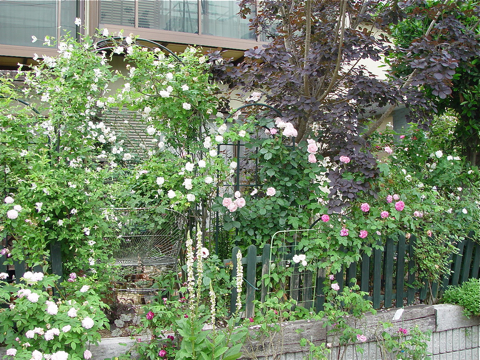 f0060535_22331059.jpg